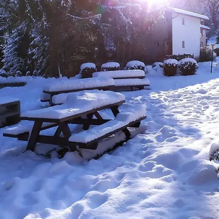 Kamp alanı Tiny House - - Mobilhomes - Les Granges Bas Gérardmer