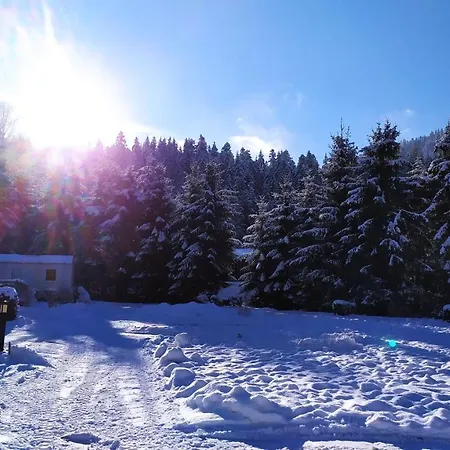 Kamp alanı Tiny House - - Mobilhomes - Les Granges Bas 3*