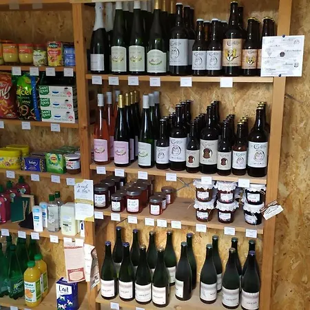 Kamp alanı Tiny House - - Mobilhomes - Les Granges Bas Gérardmer