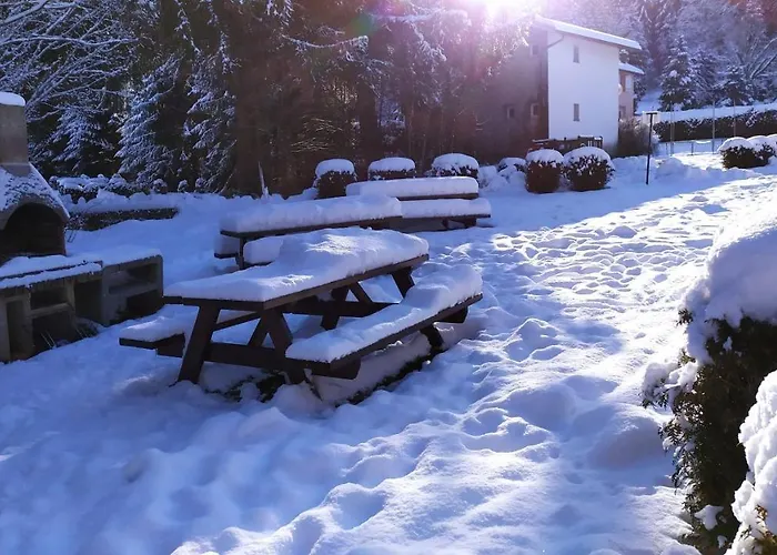 Kemp Tiny House - - Mobilhomes - Les Granges Bas Gérardmer