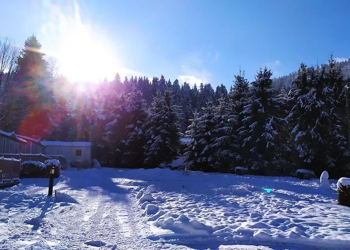 Κάμπινγκ Tiny House - - Mobilhomes - Les Granges Bas 3*