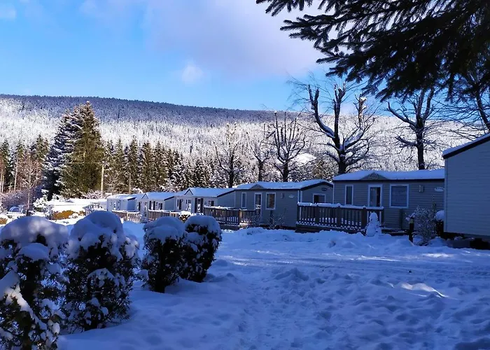 Tiny House - - Mobilhomes - Les Granges Bas Campingplatz Gérardmer