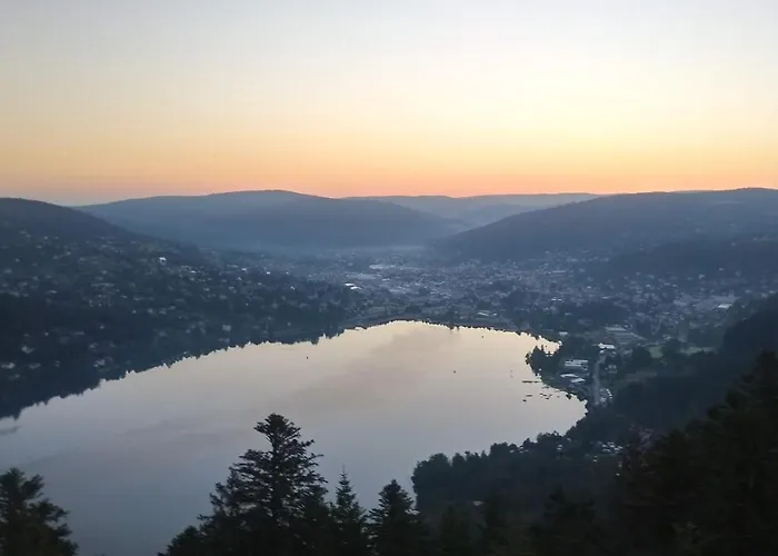 Tiny House - - Mobilhomes - Les Granges Bas 3* Gérardmer