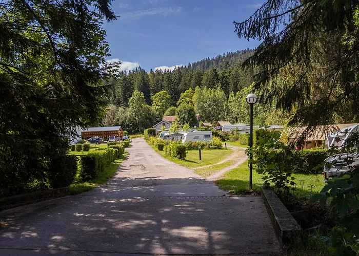 Campingplatz Tiny House - - Mobilhomes - Les Granges Bas 3*